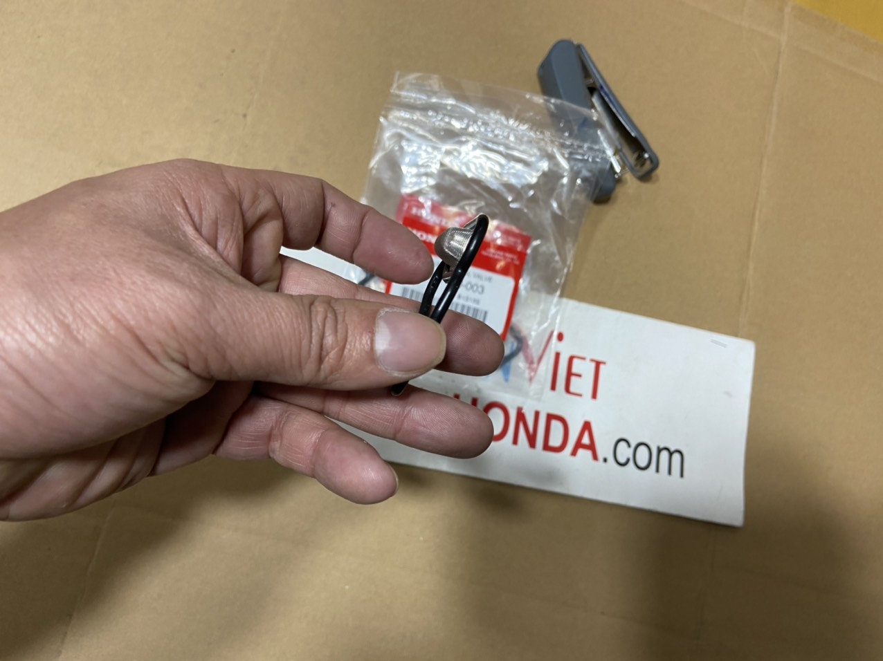 Lọc ở van Spool xe Honda BRIO